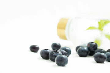 Gut Health Matters: The Role of Probiotics, Prebiotics, and Functional Mushrooms