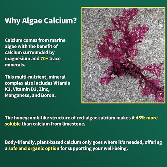 Algae Calcium Gummies